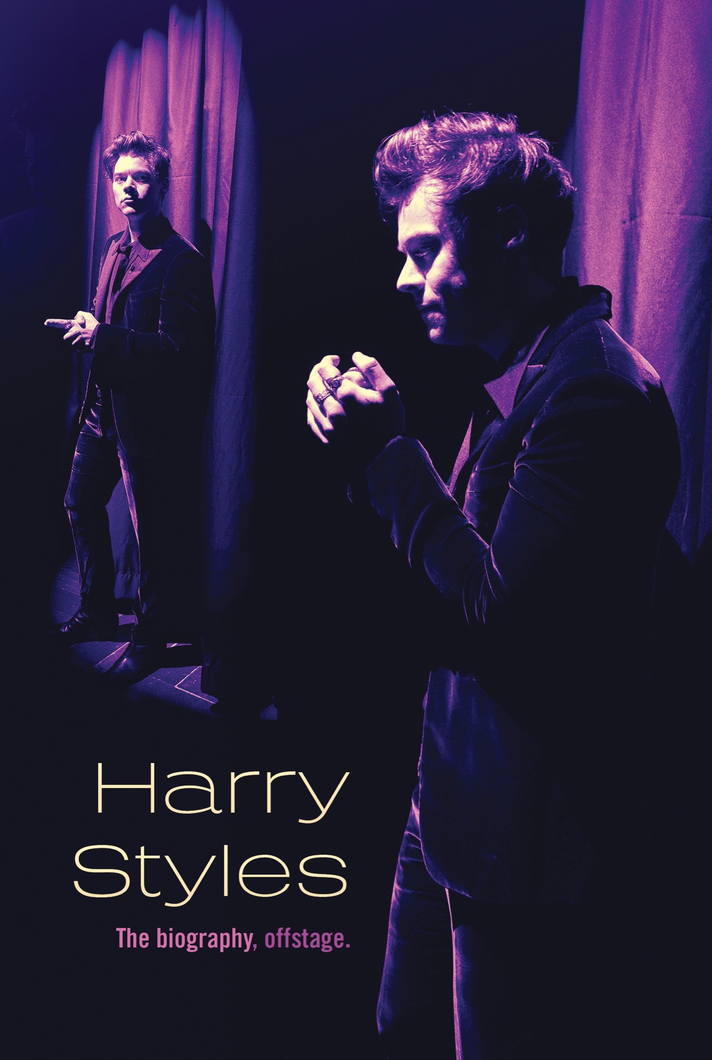 Harry Styles The Biography Offstage - image 1