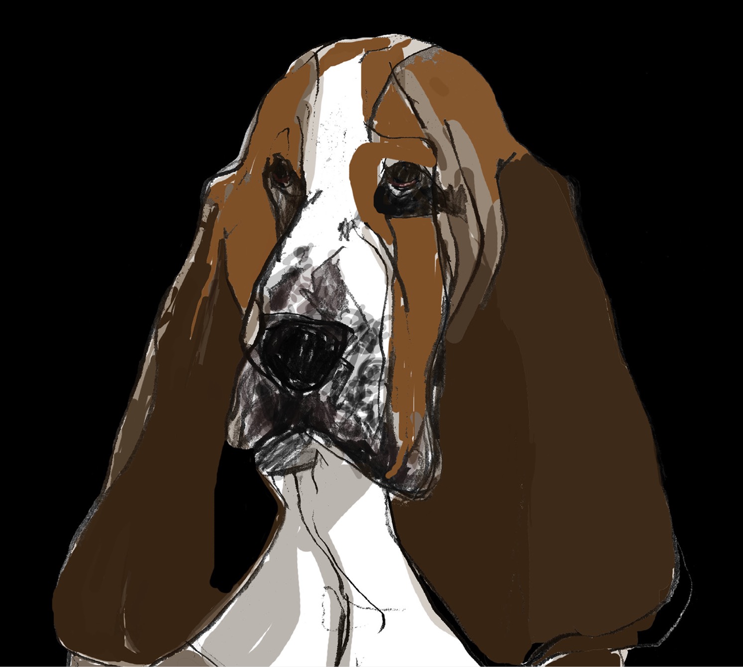 BLOODHOUND Owned historically by noblemen and aristocrats Bloodhounds got - photo 6