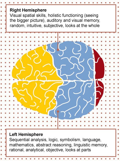 Feed Your Brain What you eat has a profound effect on how your brain - photo 9