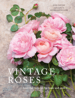 Jane Eastoe Vintage Roses: Beautiful Varieties for Home and Garden