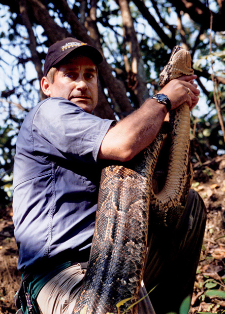 When catching a snake this big its always best to secure its head first Thats - photo 6