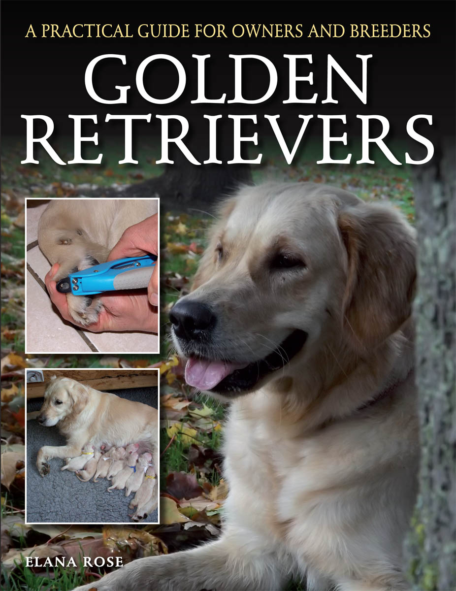 Golden Retrievers A Practical Guide for Owners and Breeders - image 1