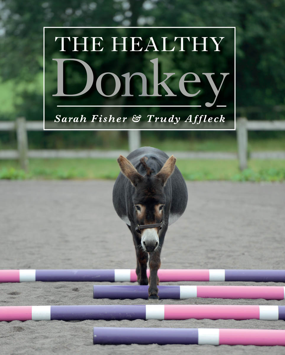 THE HEALTHY Donkey THE HEALTHY Donkey Sarah Fisher Trudy Affleck - photo 1