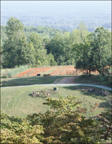 The view of the garden at Broadhead Mountain Farm from the house Consider the - photo 11