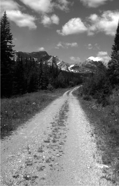 CYCLING THE GREAT DIVIDE From Canada to Mexico on North Americas Premier - photo 2