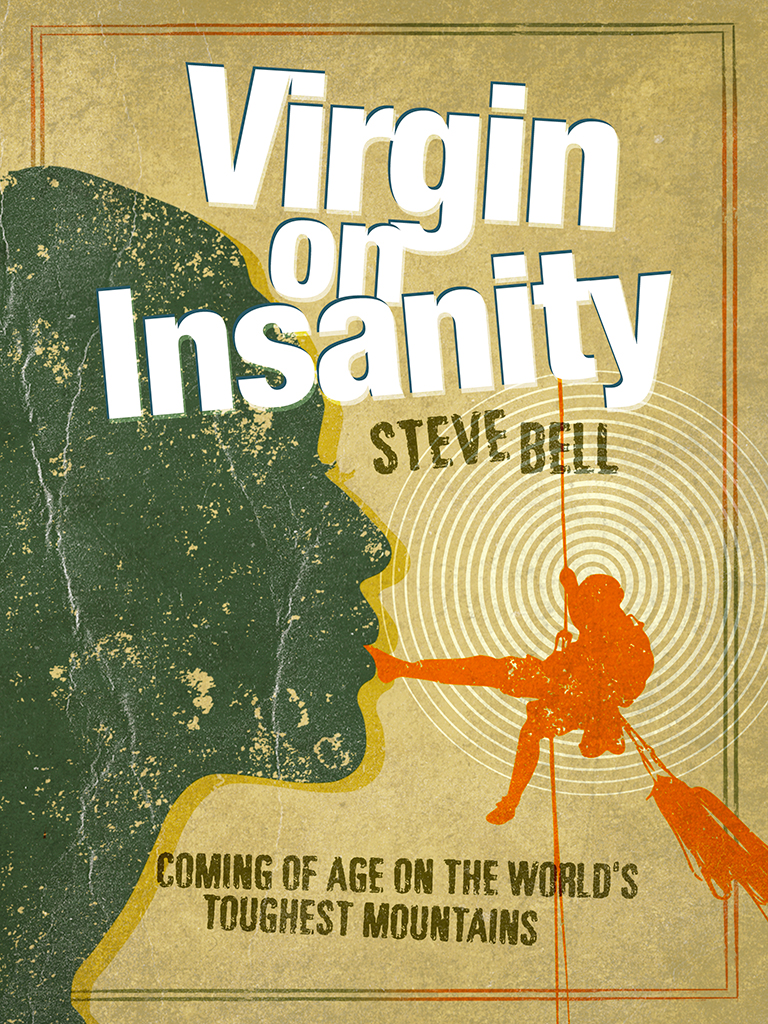 Virgin on Insanity Virgin on Insanity Steve Bell wwwv-publishingcouk - photo 1