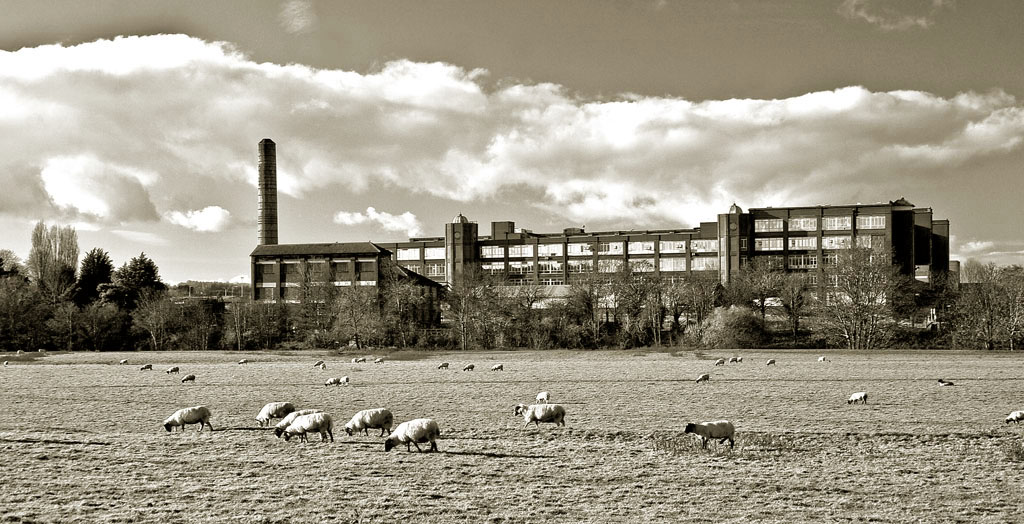 A factory and sheep Keynsham Somerset England Industrial smoke from a - photo 5