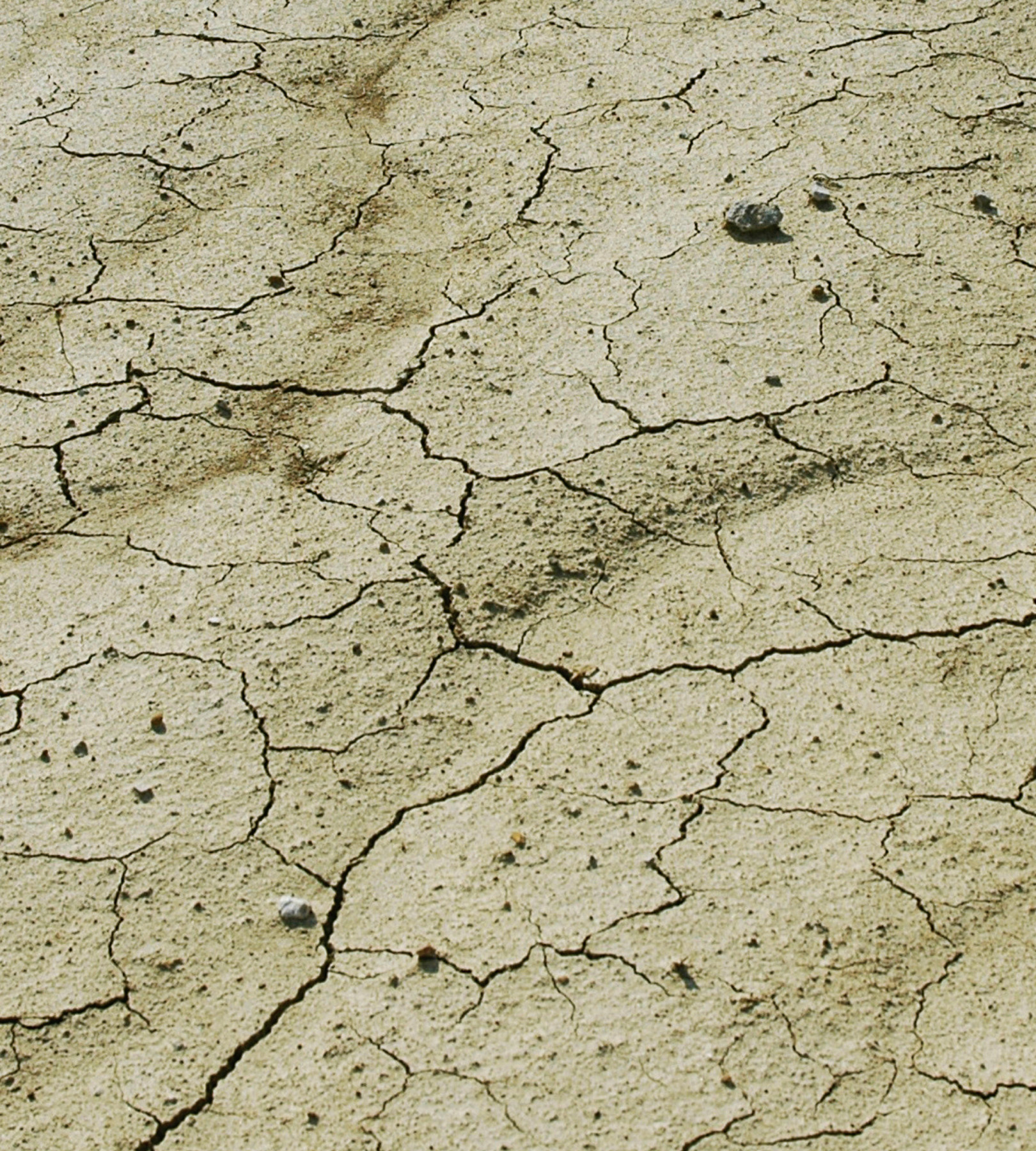 DROUGHT Charles Mallory Hatfields camp on a ridge above the northern shore of - photo 4