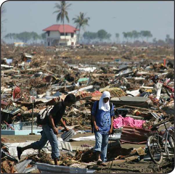 The tsunami left the people of Banda Aceh with 13 million cubic yards 10 - photo 8