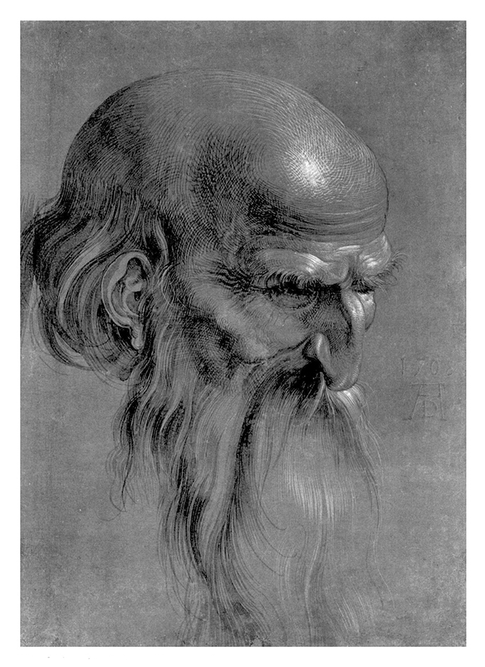 Head of an Apostle 1508 by Albrecht Durer What delights me most is the course - photo 1