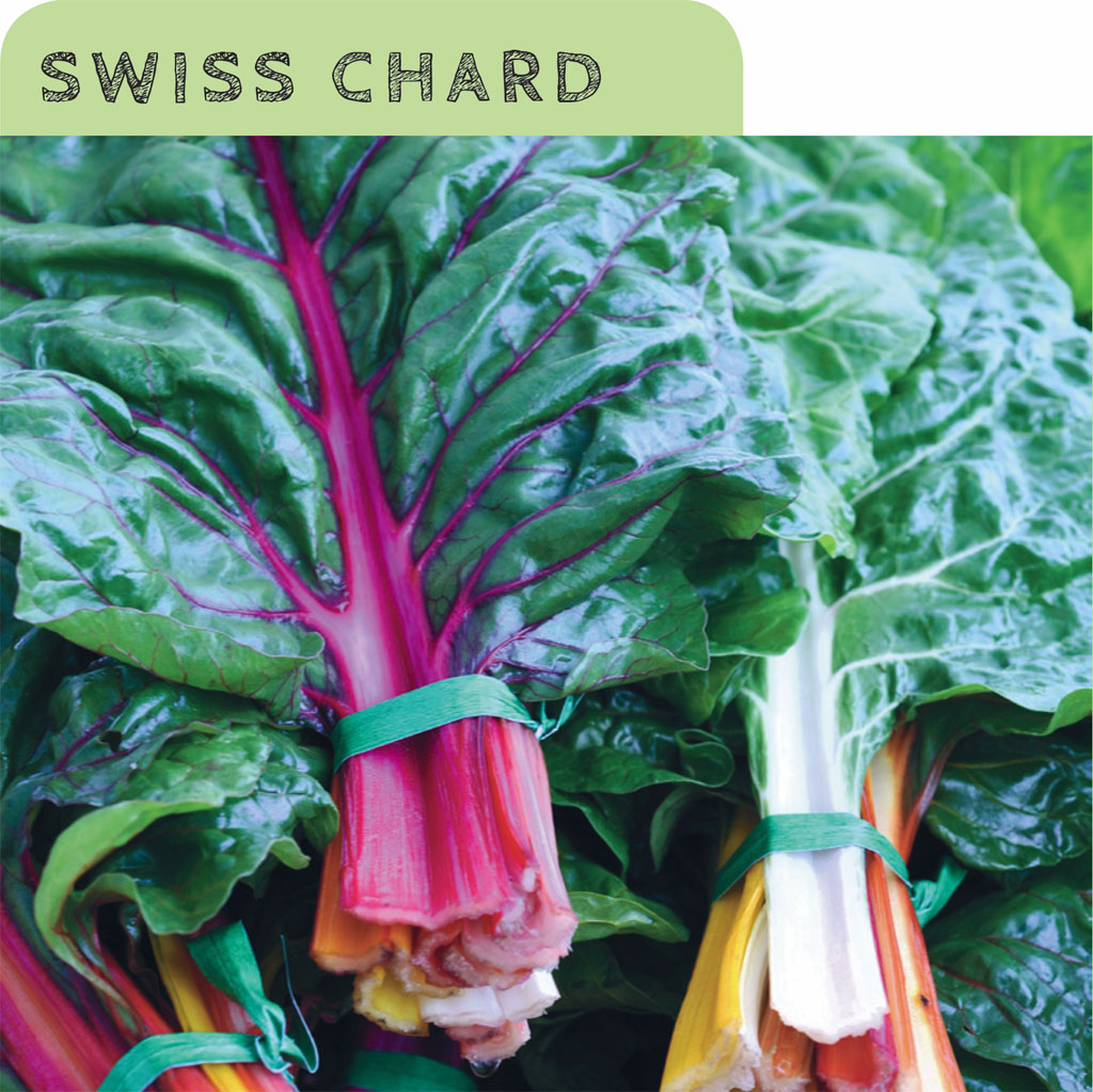 Chard stands out among the greens with its colored stalks and veins sometimes - photo 7