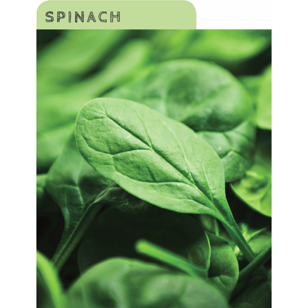 Theres a good reason spinach is one of the most popular greens in the world - photo 9