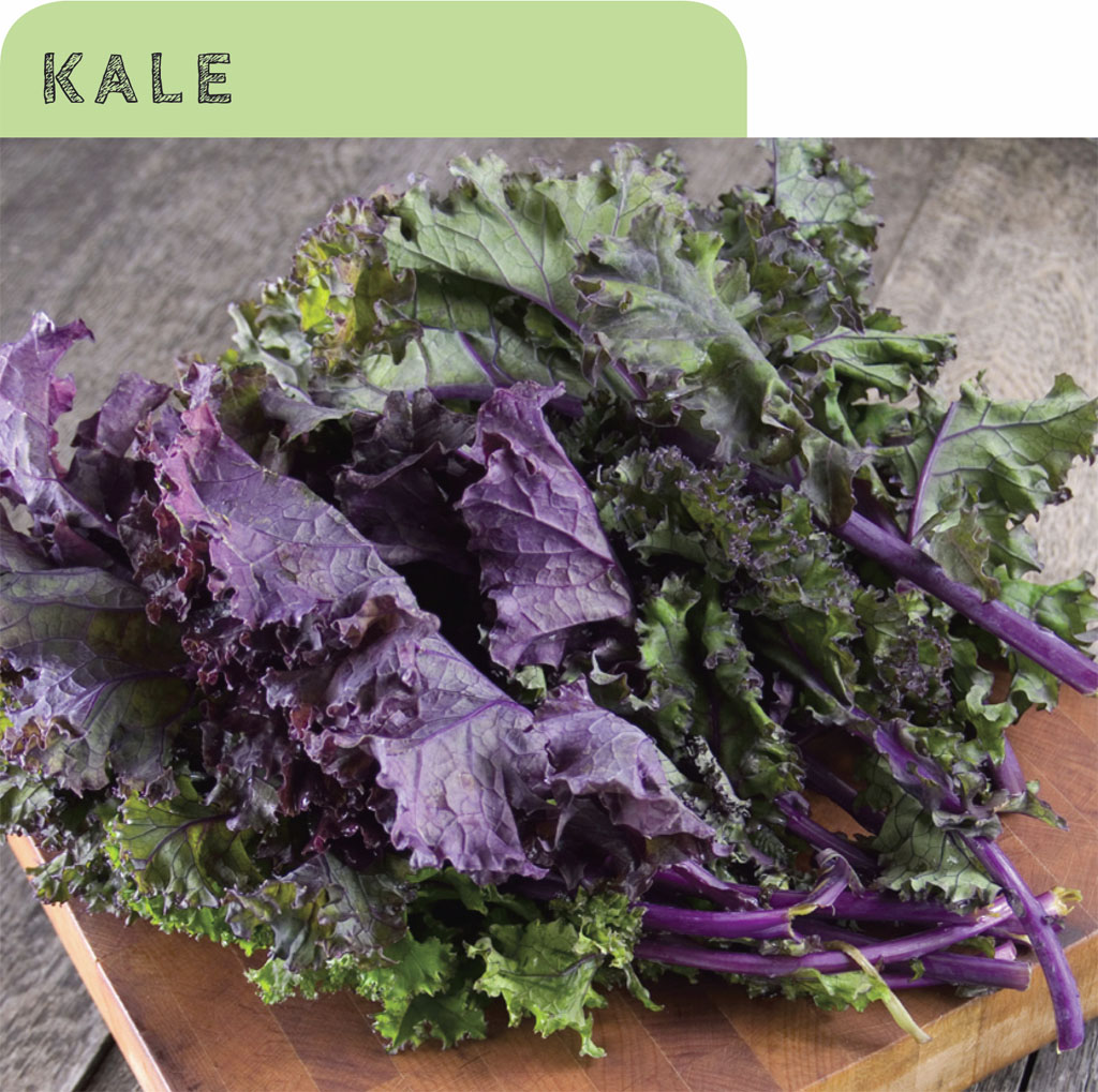 Kale really is a superfood It is plentiful in vitamins A C and K and is - photo 5