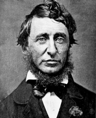 Henry David Thoreau From north to south east to west tall white pines - photo 3