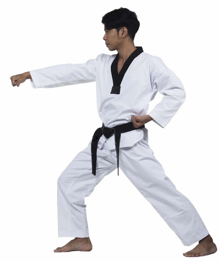 Kiai Different forms of karate have different katas However some katas can - photo 7