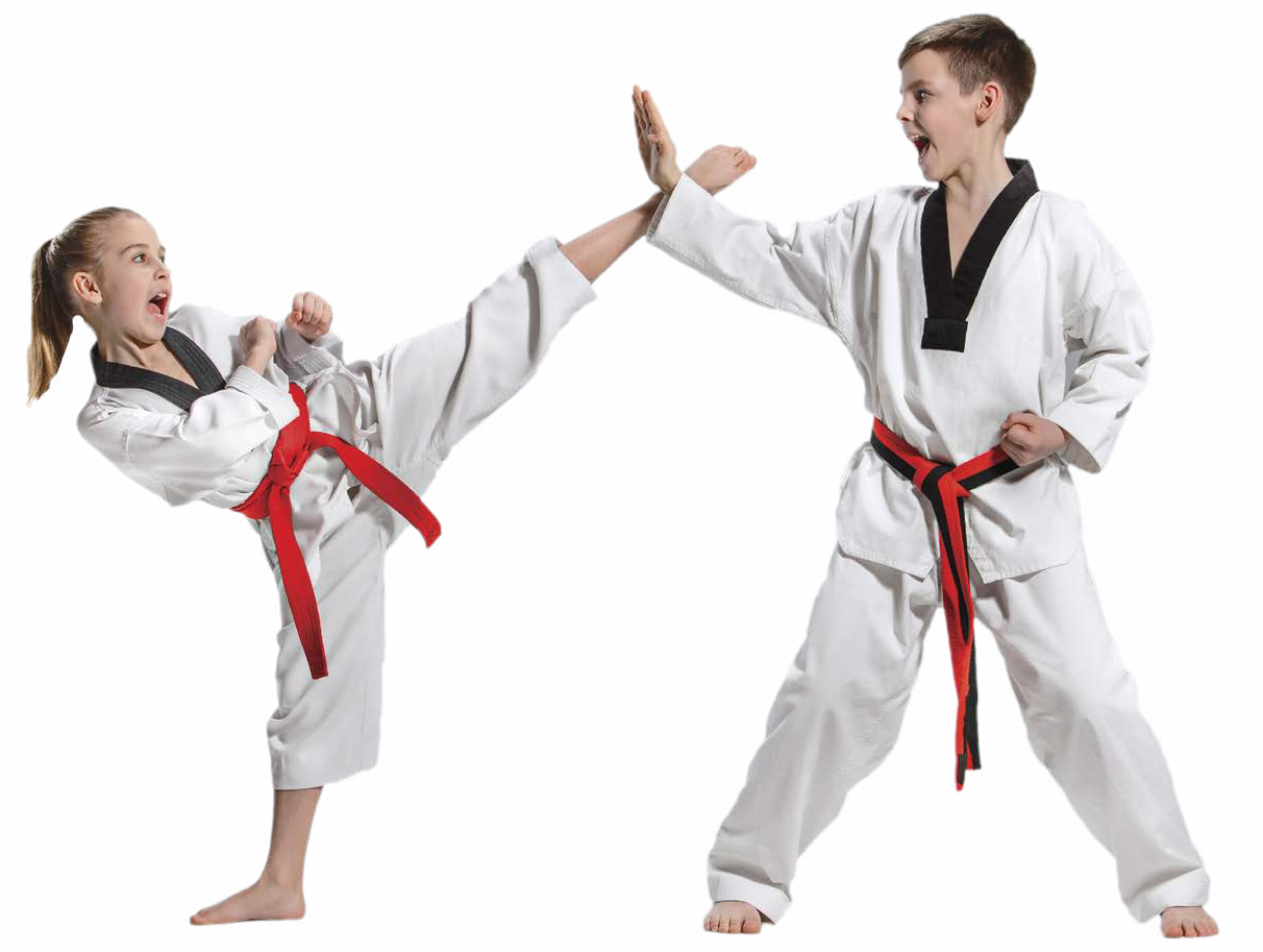 To do a roundhouse kick the karateka spins their hips in the direction of the - photo 9