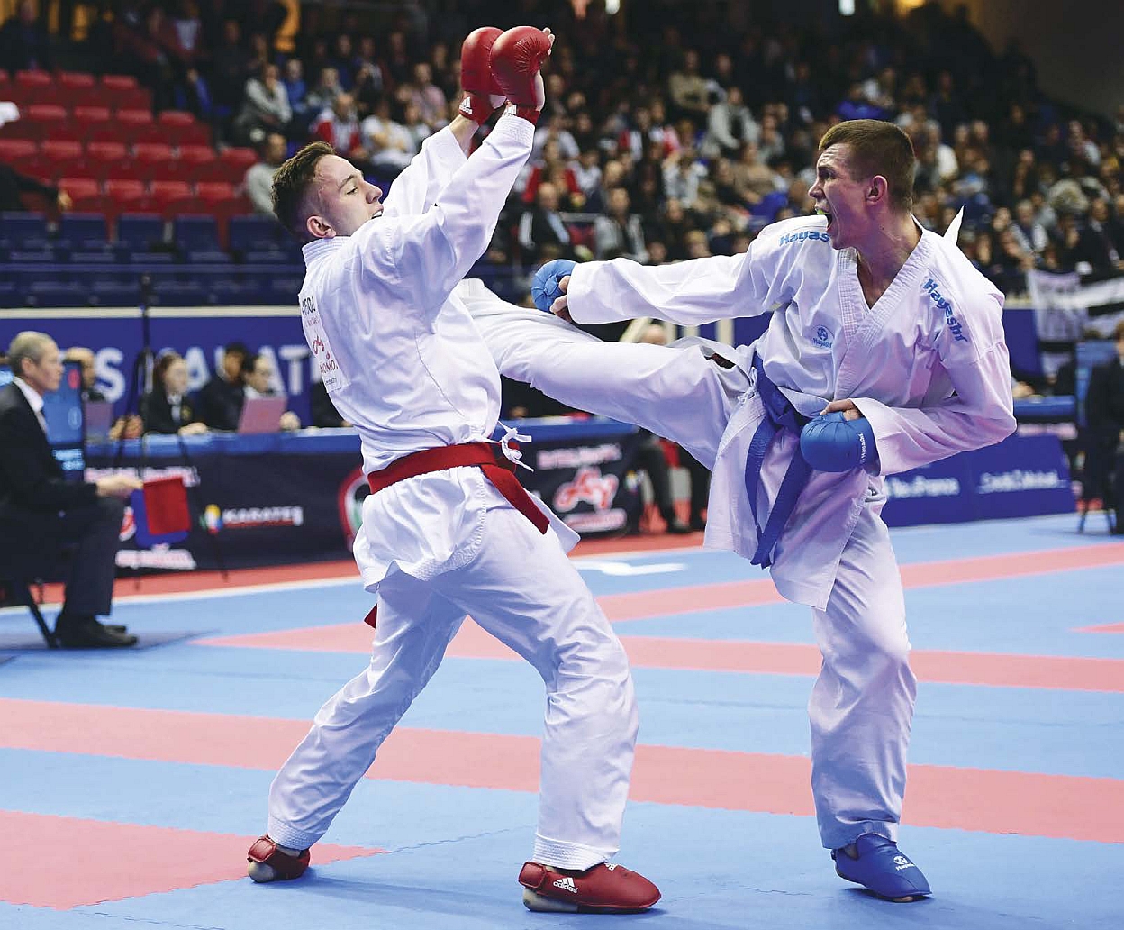 To do a roundhouse kick the karateka spins their hips in the direction of the - photo 10
