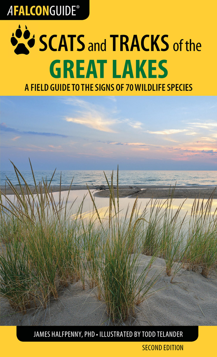 Scats and Tracks of the Great Lakes A Field Guide to the Signs of 70 Wildlife Species - image 1