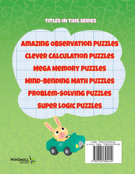 Lisa Regan Mega Memory Puzzles