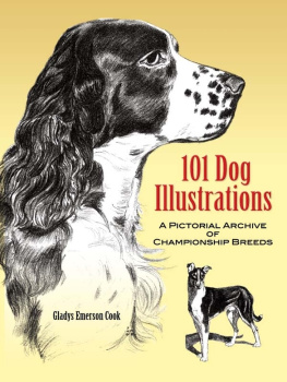 Gladys Emerson Cook - 101 Dog Illustrations: A Pictorial Archive of Championship Breeds