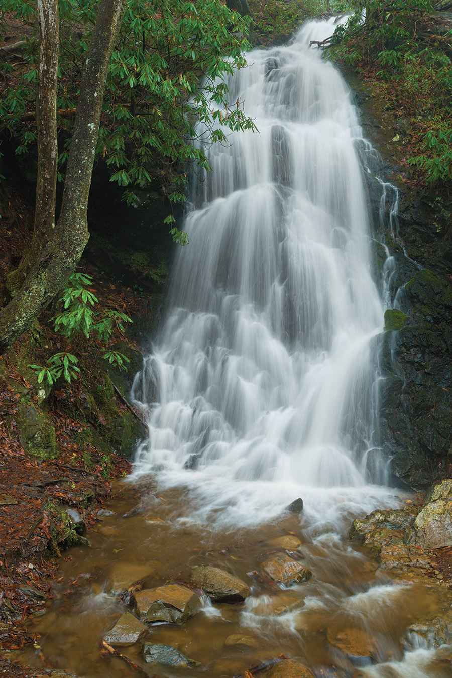 Cataract Falls on a rainy day Upon leaving the maintenance area you are - photo 3