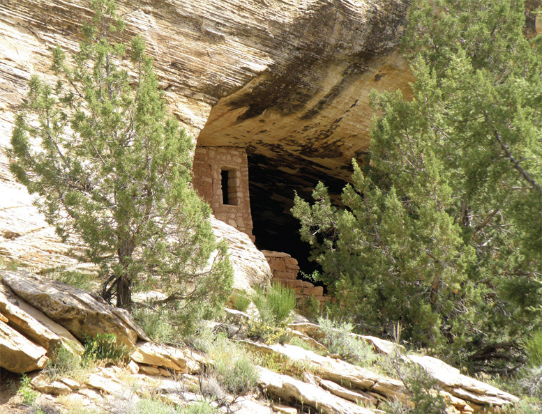 Exploring Utahs Bears Ears and Cedar Mesa A Guide to Hiking Backpacking Scenic Drives and Landmarks - image 2