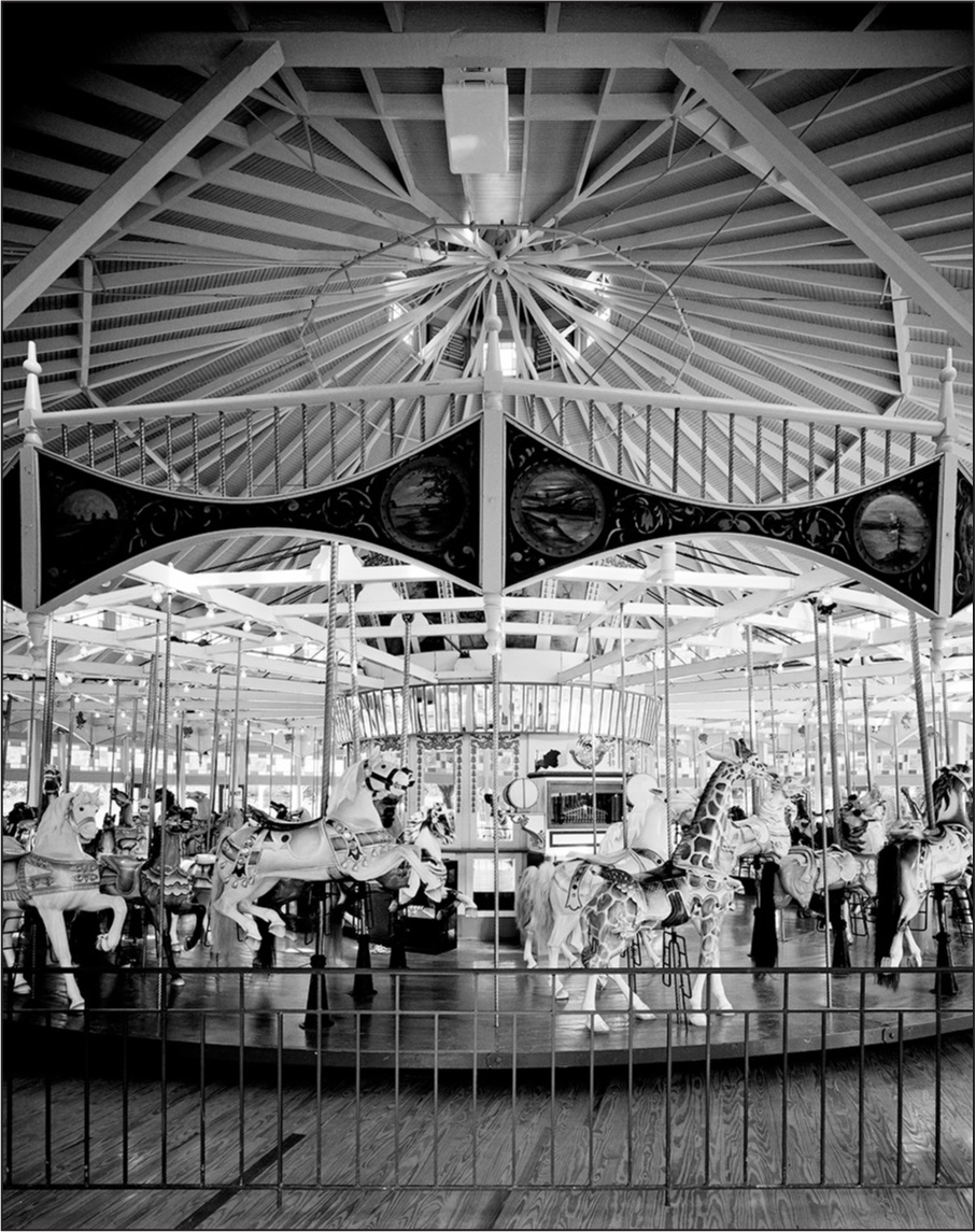 Photo Alan Karchmer The carousel at City Park in New Orleans However one - photo 10