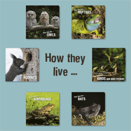 David Withrington - How they live: Learn All There Is to Know About Animals!