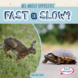 Adeline Zubek - Fast or Slow?