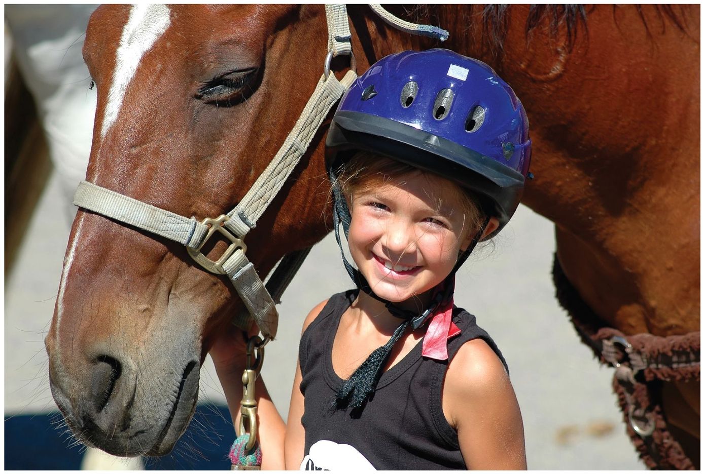 Gymkhana colic a stomach ache that often comes from a horses eating too much - photo 6