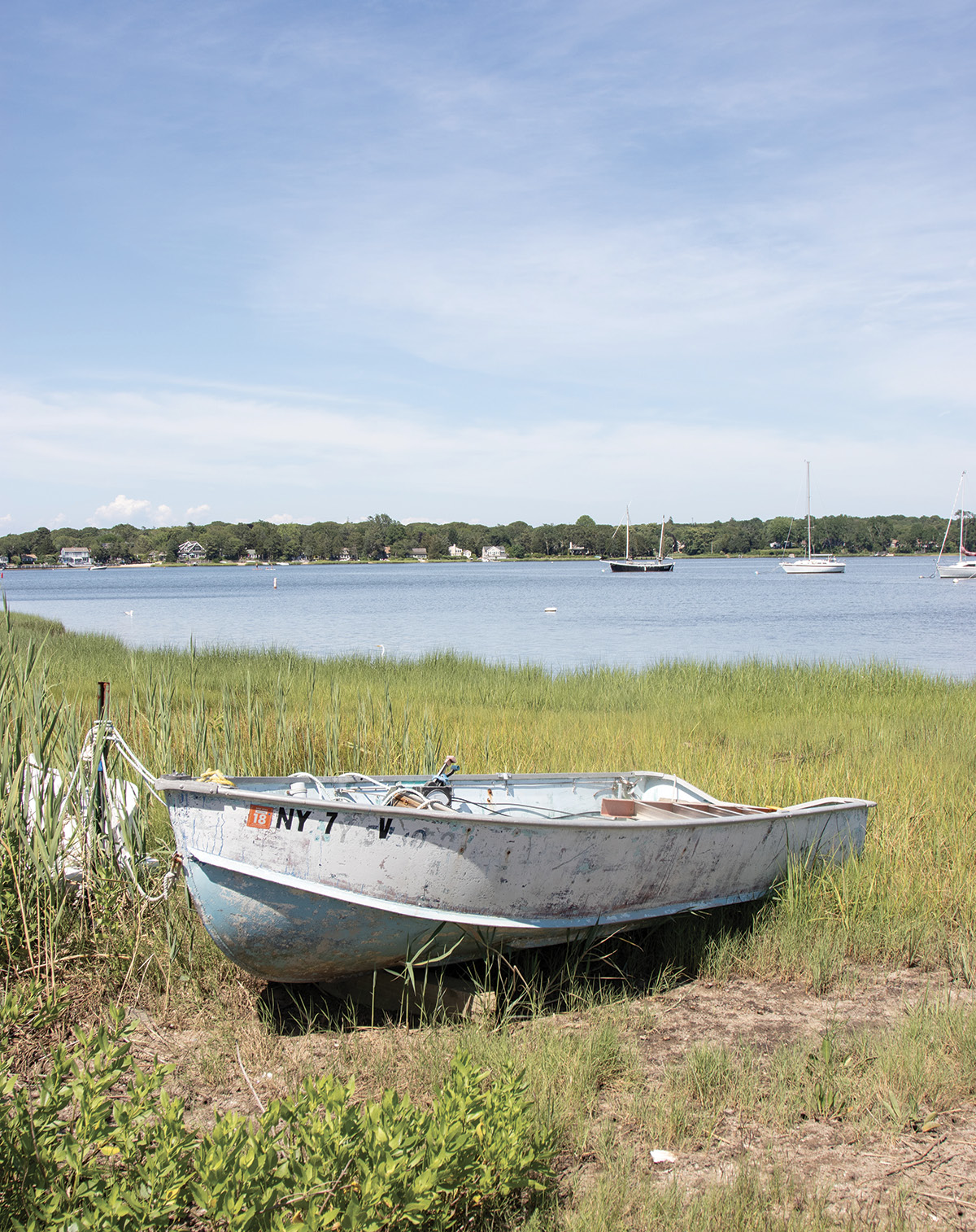 THE HAMPTONS KITCHEN SEASONAL RECIPES PAIRING LAND AND SEA HILLARY DAVIS - photo 2