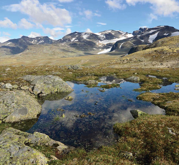 In the summertime the shallow pools of water on the surface of the soil - photo 5