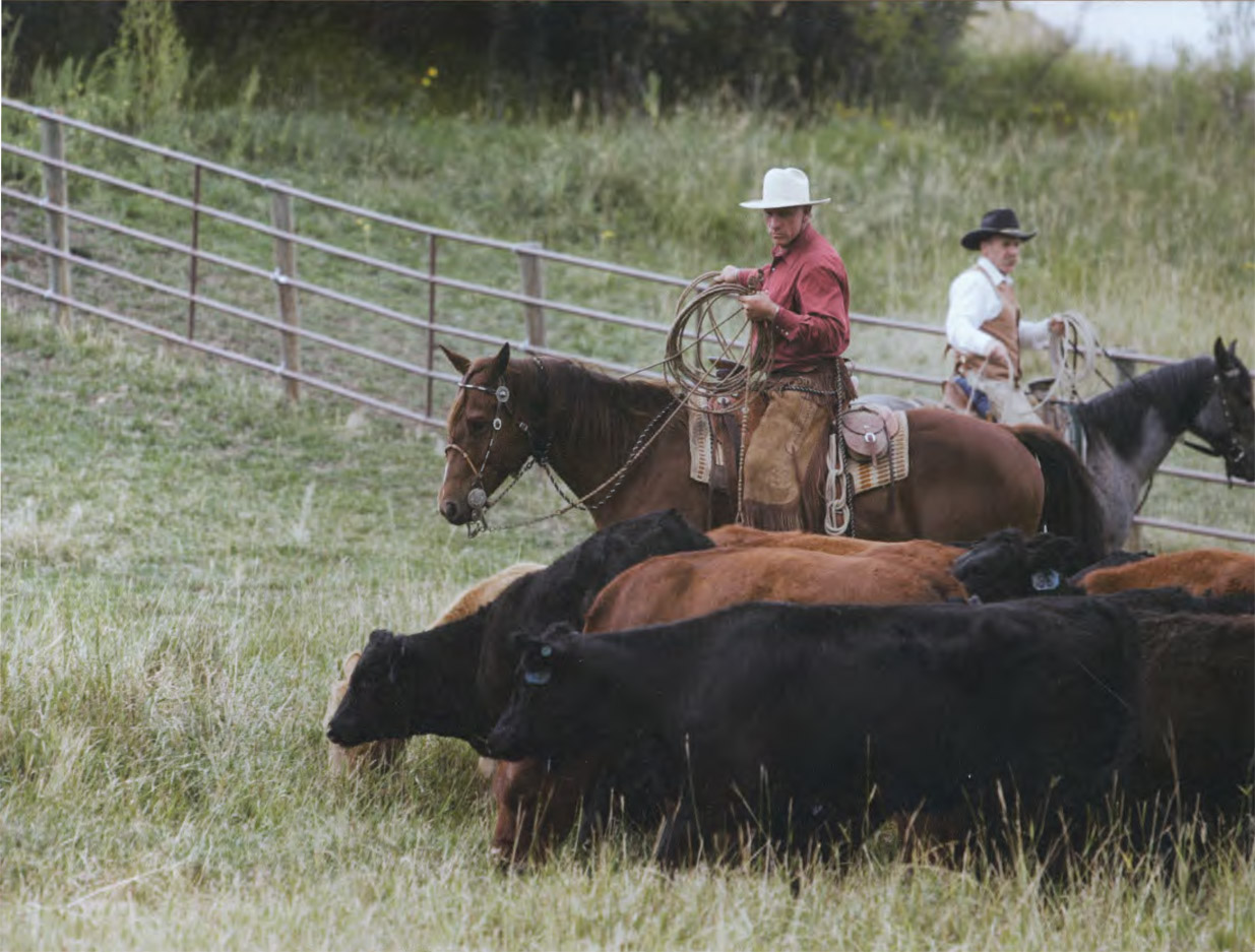 Buck Brannamans working methods descend from those of the California vaquero - photo 5