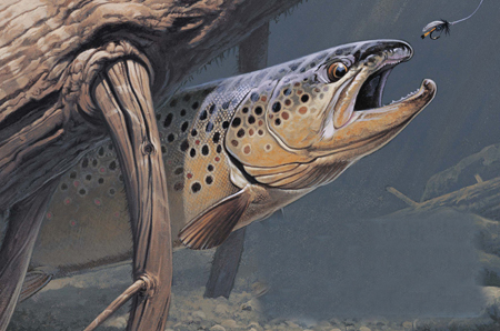 Brown Trout 1995 Michigan Trout Stamp Brown Trout Acrylic 7 9 18cm - photo 3