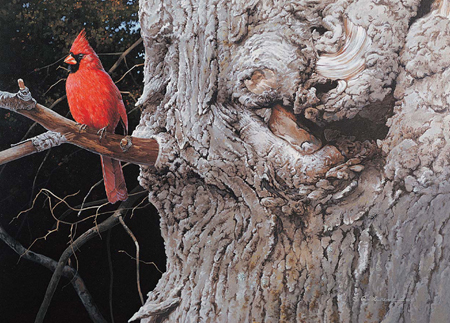 Beauty and the Beast Northern Cardinal - male Acrylic 16 22 41cm 56cm - photo 5