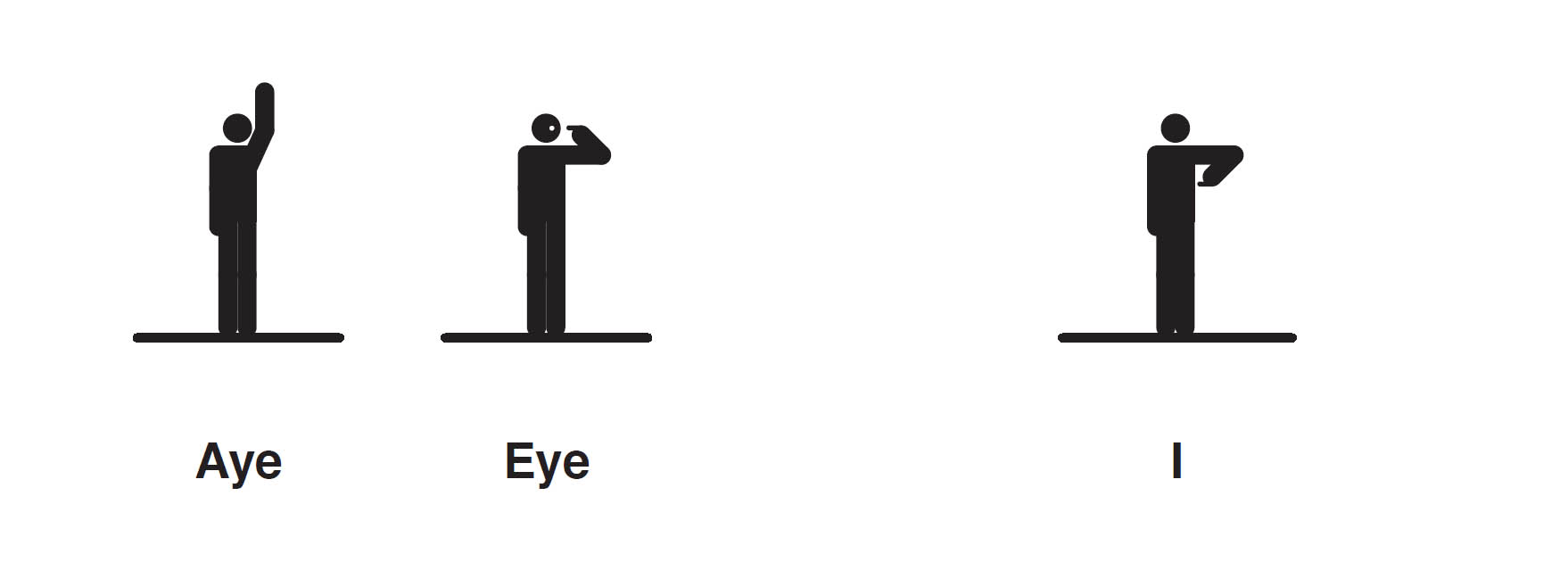 Homophones Visualized - photo 10