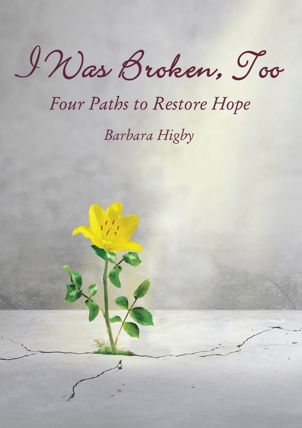 I WAS B ROKEN T OO I WAS B ROKEN T OO Four Paths to Restore Hope Barbara - photo 1