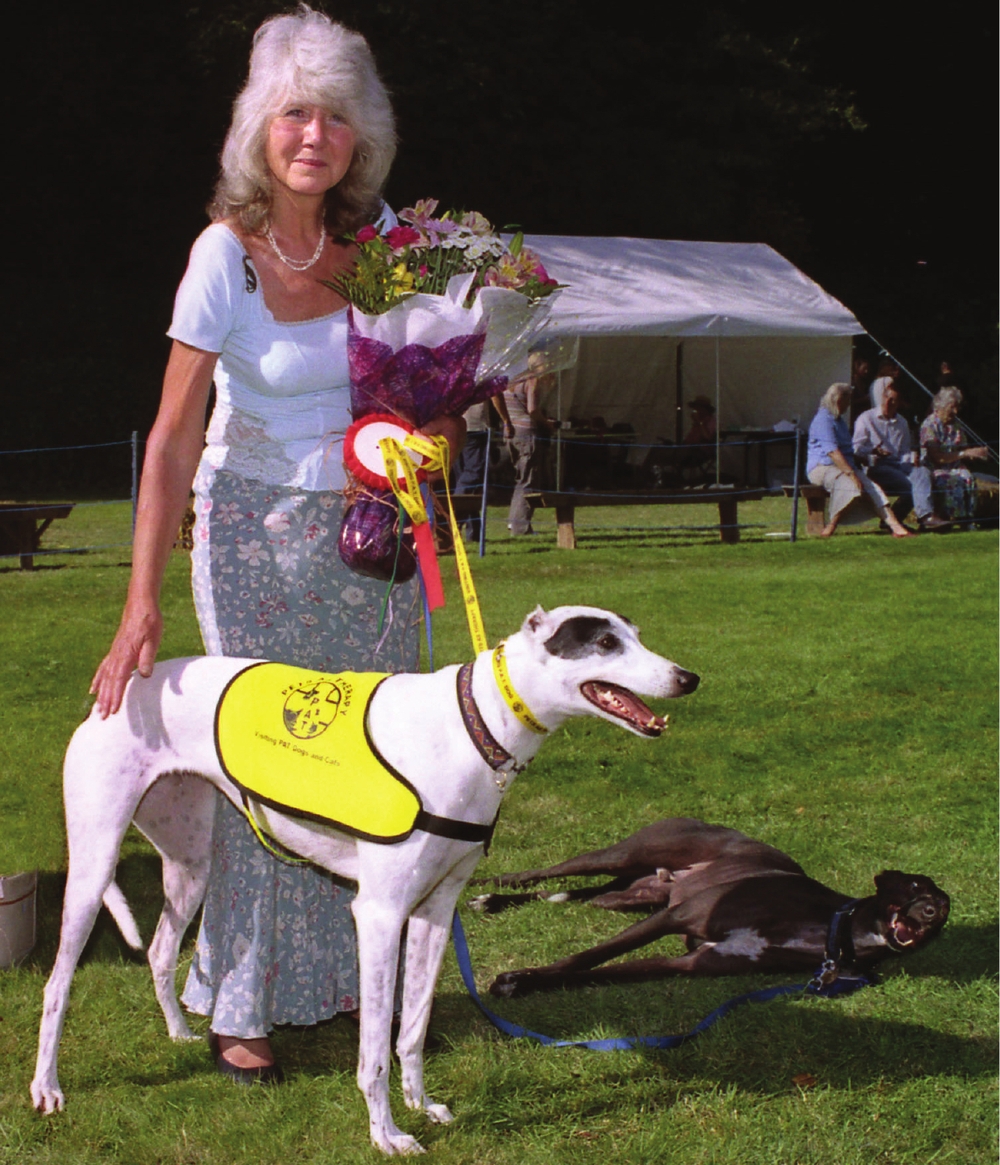 Jilly Cooper with GRWE dog Heather Many greyhounds have appalling lives once - photo 2