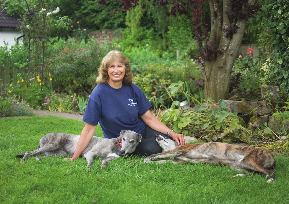 The author with her lurcher Ash and ex-racing greyhound Foxy Beauty in - photo 3