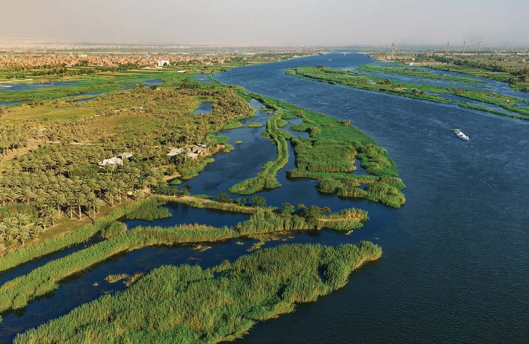 The Nile River delta is home to many types of plant and animal life In - photo 2