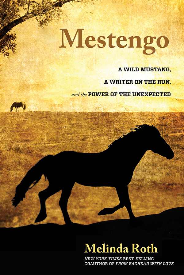 M ESTENGO A Wild Mustang a Writer on the Run and the Power of the Unexpected - photo 1