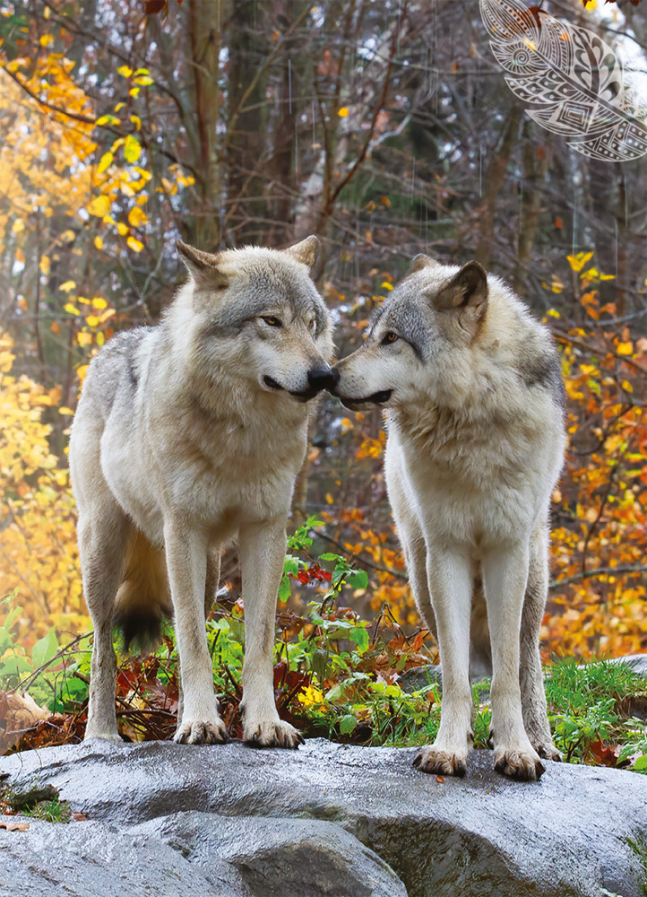 Introduction Knowledge of spirit animals still remains a key part of the lives - photo 5