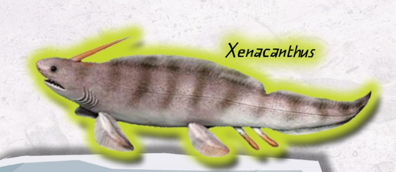 THE PREHISTORIC WORLD Sharks from the group Xenacanthus zee-nah-KAN-thus - photo 7