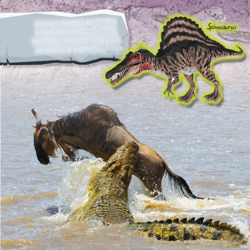 A HUNGRY CROCODILE MAY ATTACK A LARGE LAND ANIMAL SUCH AS A WILDEBEEST WHILE - photo 6