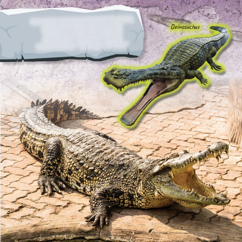 CROCODILES AND DINOSAURS LIVED TOGETHER MILLIONS OF YEARS AGO THE NAME - photo 2