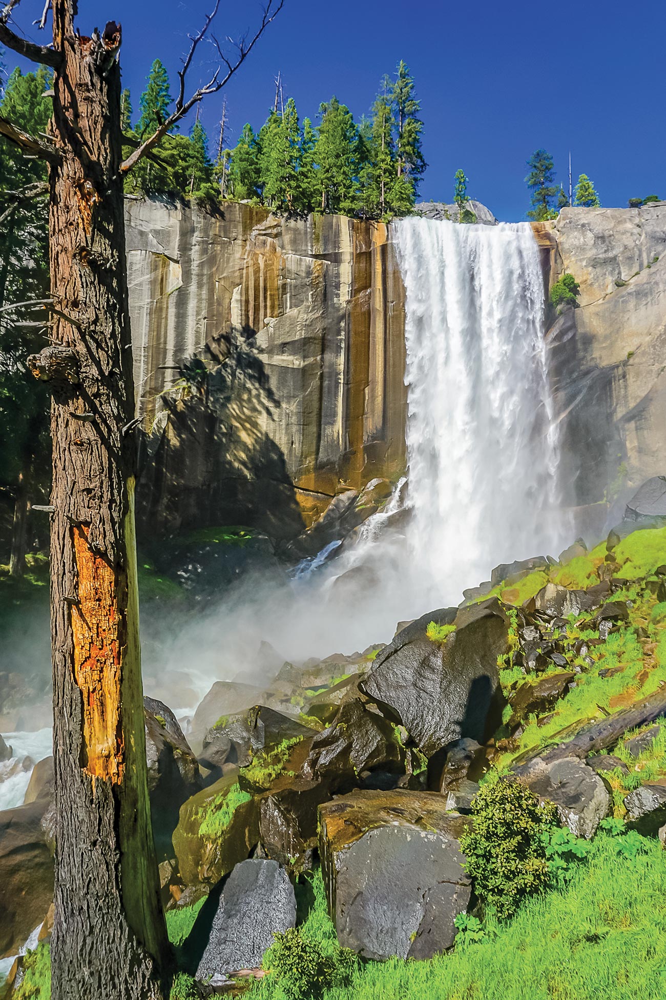 to watch a short documentary about Yosemite browse the excellent - photo 7