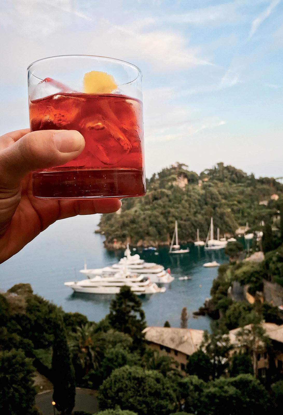 I now have more photos of Negronis Ive enjoyed around the world than of my - photo 6