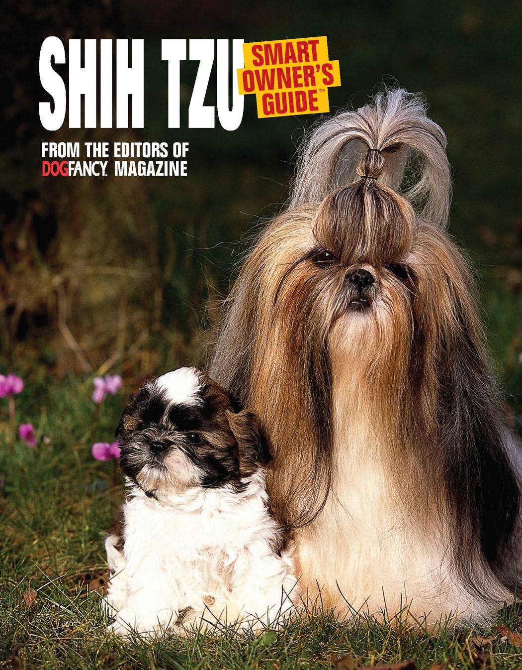 EDUCATION the Shih Tzu can be all dog doing laps around your backyard or - photo 2