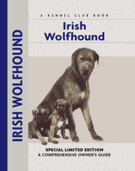 Alice Kane - Irish Wolfhound