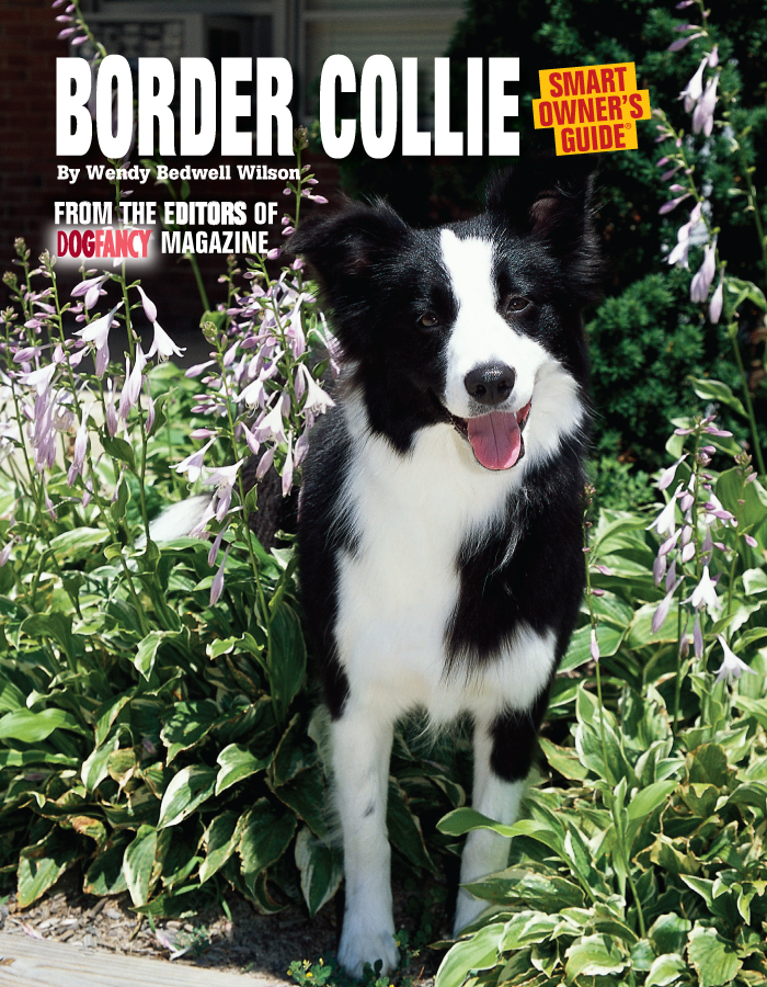 CONTENTS By Allan Reznik Editor-at-Large DOG FANCY magazine Meet the Border - photo 1